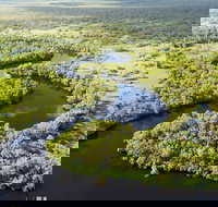 Darwin to Kakadu Day Trip by Air Including Yellow Water Cruise - Accommodation NT