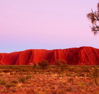 Best of Ayers Rock Sunset Uluru and Sunrise Kata Tjuta Small Group Tours - Accommodation NT