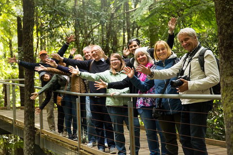 All Inclusive Blue Mountains Small-Group Day Trip From Sydney - Accommodation NT 30