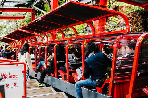 All-Inclusive Blue Mountains Day Trip With River Cruise - Accommodation NT 7