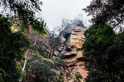 All-Inclusive Blue Mountains Day Trip With River Cruise - Accommodation NT 3
