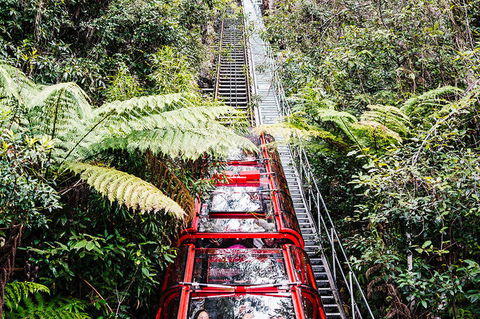 All-Inclusive Blue Mountains Day Trip With River Cruise - Accommodation NT 6