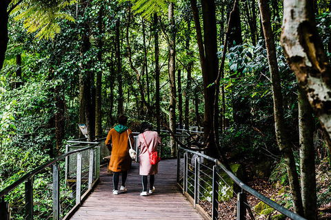 All-Inclusive Blue Mountains Day Trip With River Cruise - Accommodation NT 10