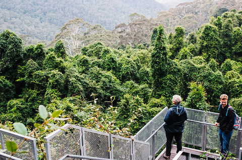 All-Inclusive Blue Mountains Day Trip With River Cruise - Accommodation NT 2