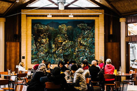 All-Inclusive Blue Mountains Day Trip With River Cruise - Accommodation NT 13