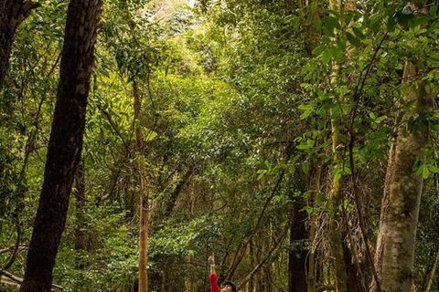 All-Inclusive Blue Mountains Day Trip With River Cruise - Accommodation NT 26