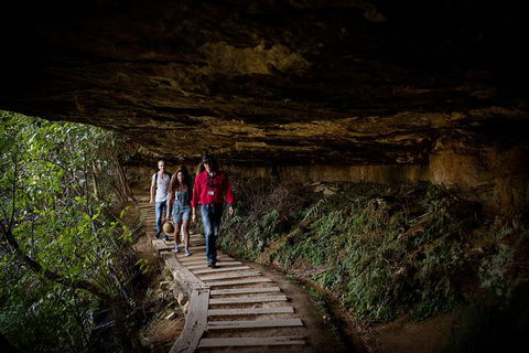 All-Inclusive Blue Mountains Day Trip With River Cruise - Accommodation NT 34