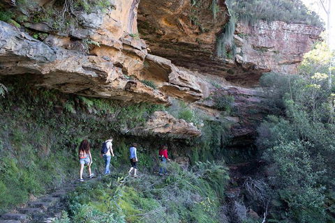 All-Inclusive Blue Mountains Day Trip With River Cruise - Accommodation NT 38