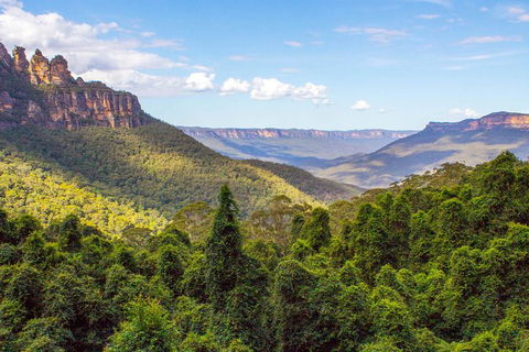 All-Inclusive Blue Mountains Day Trip With River Cruise - Accommodation NT 28