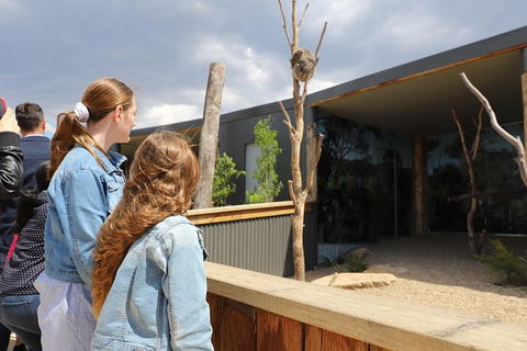 All-Inclusive Blue Mountains Day Trip With River Cruise - Accommodation NT 23