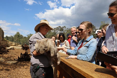 All-Inclusive Blue Mountains Day Trip With River Cruise - Accommodation NT 27