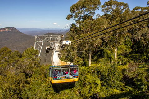 All-Inclusive Blue Mountains Day Trip With River Cruise - Accommodation NT 39