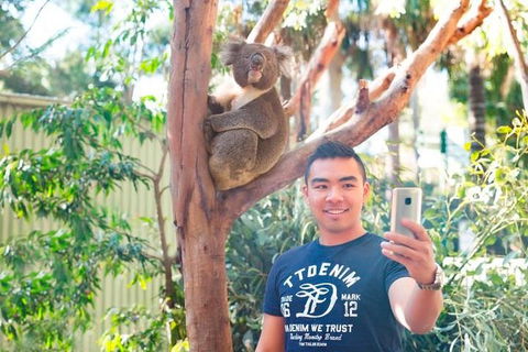 All Inclusive Full-Day Blue Mountains Trip From Sydney - Accommodation NT 1