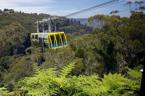 Go Sydney Explorer Pass With Hop-on Hop-Off Bus, Taronga Zoo And More - Accommodation NT 10