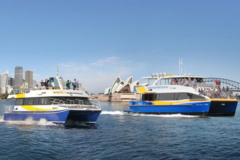 Go Sydney Explorer Pass With Hop-on Hop-Off Bus, Taronga Zoo And More - Accommodation NT 7