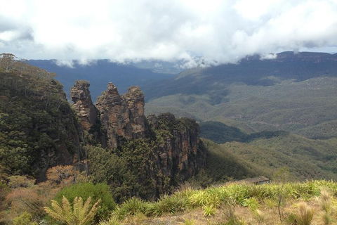 All-Inclusive Blue Mountains Tour In A Luxury Mercedes Sprinter - Accommodation NT 11