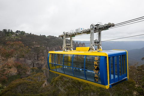 All-Inclusive Blue Mountains Tour In A Luxury Mercedes Sprinter - Accommodation NT 10