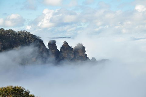 All-Inclusive Blue Mountains Tour In A Luxury Mercedes Sprinter - Accommodation NT 15