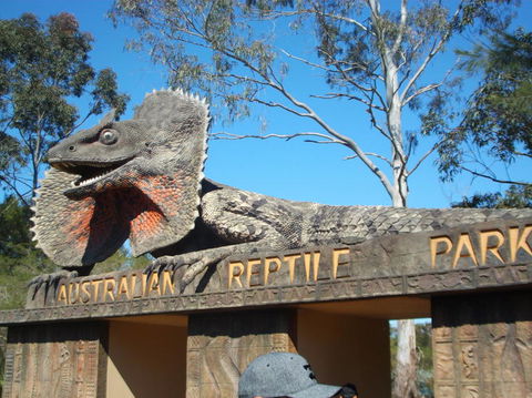 Port Stephens Day Tour With Dolphin Watching, Sandboarding & Australian Wildlife - Accommodation NT 7