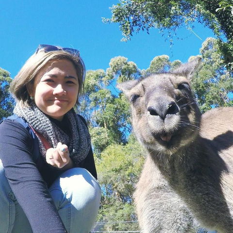 Port Stephens Day Tour With Dolphin Watching, Sandboarding & Australian Wildlife - Accommodation NT 12