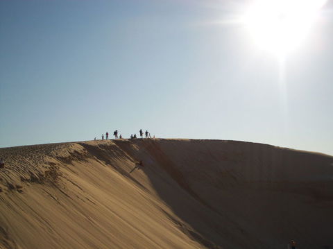 Port Stephens Day Tour With Dolphin Watching, Sandboarding & Australian Wildlife - Accommodation NT 14