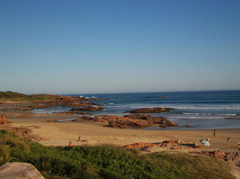 Port Stephens Day Tour With Dolphin Watching, Sandboarding & Australian Wildlife - Accommodation NT 4