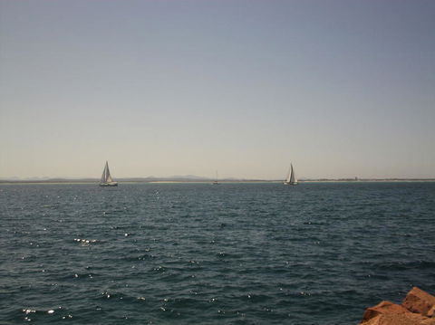 Port Stephens Day Tour With Dolphin Watching, Sandboarding & Australian Wildlife - Accommodation NT 3