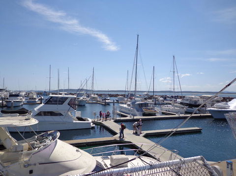 Port Stephens Day Tour With Dolphin Watching, Sandboarding & Australian Wildlife - Accommodation NT 24
