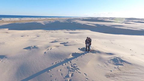 Port Stephens Day Tour With Dolphin Watching, Sandboarding & Australian Wildlife - Accommodation NT 10