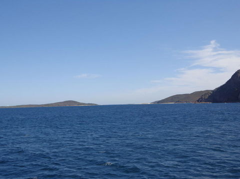 Port Stephens Day Tour With Dolphin Watching, Sandboarding & Australian Wildlife - Accommodation NT 23