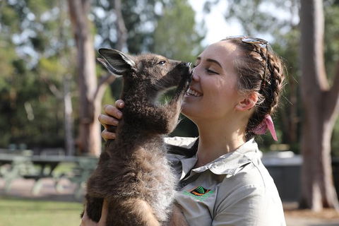 Port Stephens Day Tour With Dolphin Watching, Sandboarding & Australian Wildlife - Accommodation NT 1
