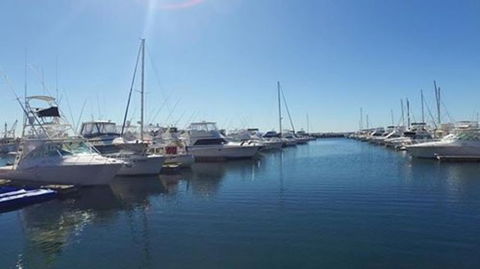 Port Stephens Day Tour With Dolphin Watching, Sandboarding & Australian Wildlife - Accommodation NT 9