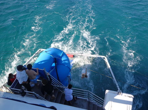 Port Stephens Day Tour With Dolphin Watching, Sandboarding & Australian Wildlife - Accommodation NT 22