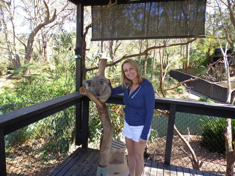 Port Stephens Day Tour With Dolphin Watching, Sandboarding & Australian Wildlife - Accommodation NT 25