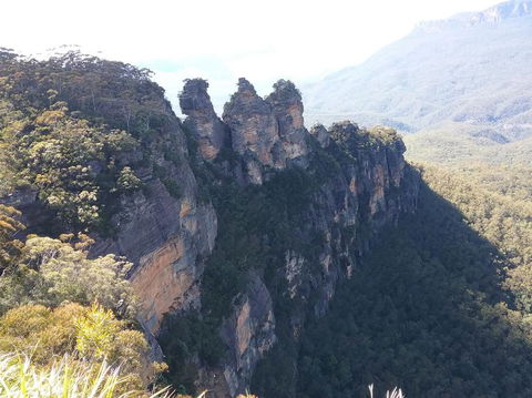 Blue Mountains Nature And Wildlife Day Tour From Sydney - Accommodation NT 8