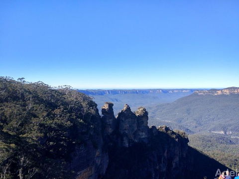 Blue Mountains Nature And Wildlife Day Tour From Sydney - Accommodation NT 15