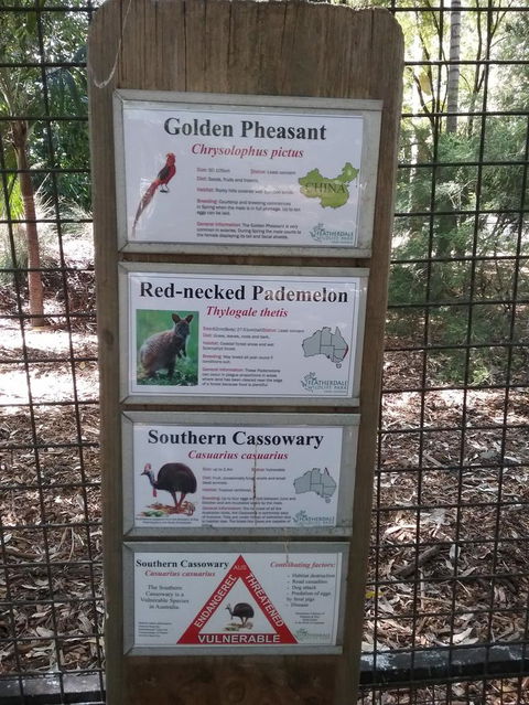 Blue Mountains Nature And Wildlife Day Tour From Sydney - Accommodation NT 3