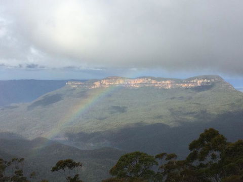 Blue Mountains Nature And Wildlife Day Tour From Sydney - Accommodation NT 22