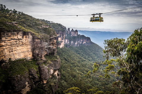 Blue Mountains Nature And Wildlife Day Tour From Sydney - Accommodation NT 19