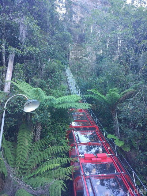 Blue Mountains Nature And Wildlife Day Tour From Sydney - Accommodation NT 14