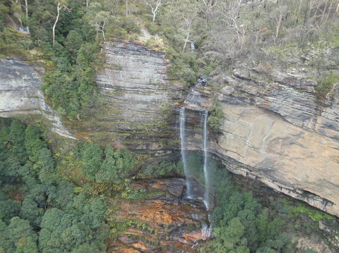 Blue Mountains Nature And Wildlife Day Tour From Sydney - Accommodation NT 13