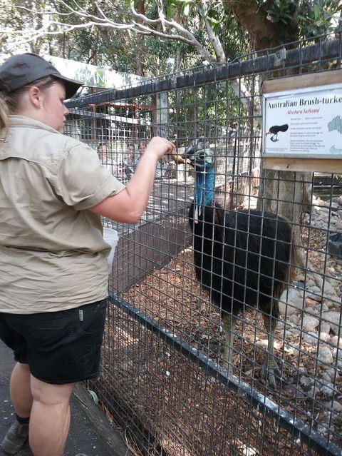 Blue Mountains Nature And Wildlife Day Tour From Sydney - Accommodation NT 4
