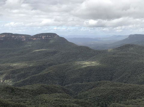 Blue Mountains Nature And Wildlife Day Tour From Sydney - Accommodation NT 2