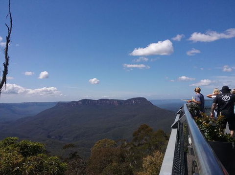 Blue Mountains Nature And Wildlife Day Tour From Sydney - Accommodation NT 6