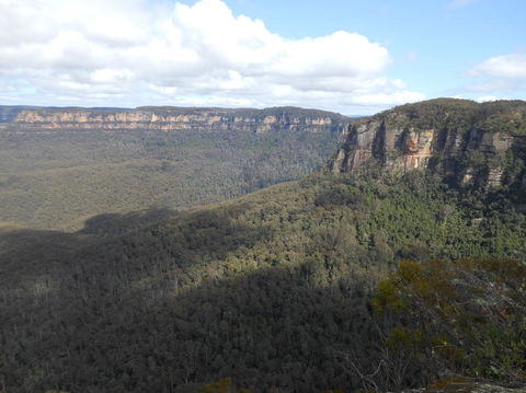 Blue Mountains Nature And Wildlife Day Tour From Sydney - Accommodation NT 12
