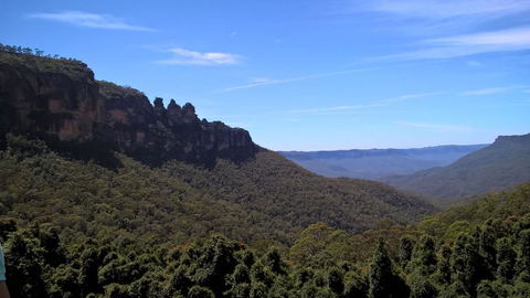 Blue Mountains Nature And Wildlife Day Tour From Sydney - Accommodation NT 9