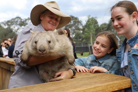 Blue Mountains Nature And Wildlife Day Tour From Sydney - Accommodation NT 39