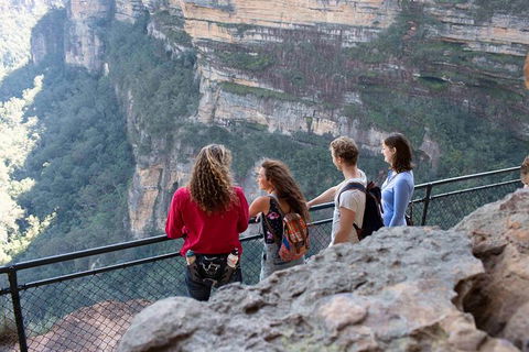 Blue Mountains Nature And Wildlife Day Tour From Sydney - Accommodation NT 34