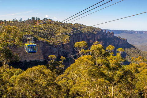 Blue Mountains Nature And Wildlife Day Tour From Sydney - Accommodation NT 38