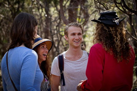 Blue Mountains Nature And Wildlife Day Tour From Sydney - Accommodation NT 37